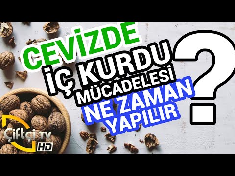 Cevizde İç Kurdu ile Mücadele - ÇETİN CEVİZ #ceviz #budama #aşılama