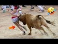 Best funnys  funny fails 2024  wahnum funny channel