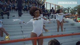 Southern University Human Jukebox 2019 "Can You Feel It" | Florida A&M