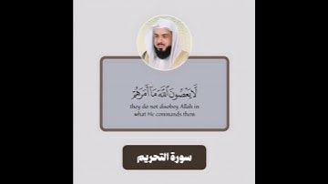 الشيخ خالد الجليل-سورة التحريم ♥