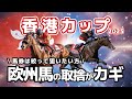 【香港カップ】少頭数レースは点数を広げたくない!欧州馬2頭の取捨が馬券攻略のポイントとなりそう。