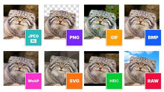Every Image Format Explained. Why So Many