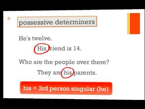"my, your, his, her, etc." / the Possessive Determiners