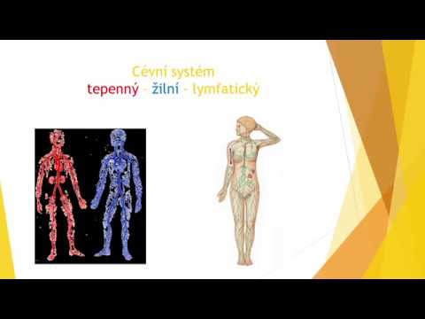 Video: Zánět Lymfatických Uzlin (Lymphadenopathy) U Psů