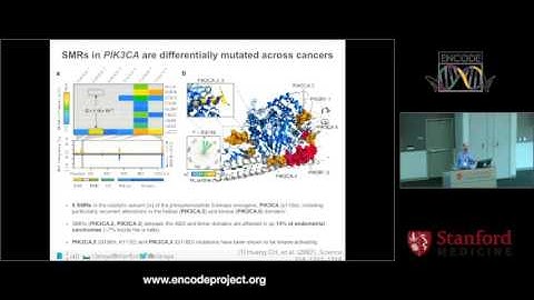 Non coding cancer drivers - Michael Snyder