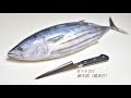 【魚屋も使う包丁】骨スキ包丁でカツオを捌く【藤次郎 藤寅作】【鰹のさばき方】【魚さばき】