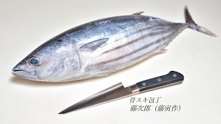 【魚屋も使う包丁】骨スキ包丁でカツオを捌く【藤次郎 藤寅作】【鰹のさばき方】【魚さばき】