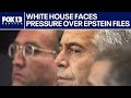 White House faces pressure on Epstein files