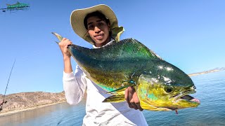 Pesca de DORADO de orilla con señuelo superficial | La Paz, BCS