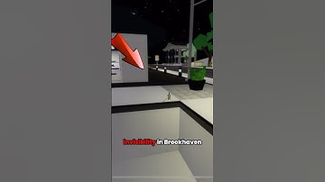 How to be INVISIBLE in BROOKHAVEN