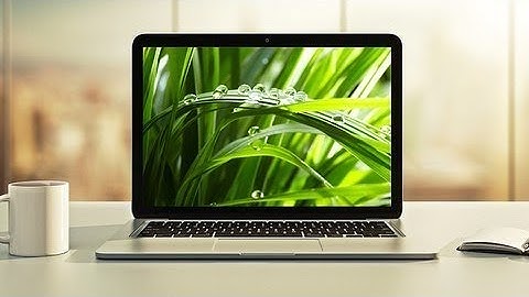 給初學者的 Spring & Hibernate 課程