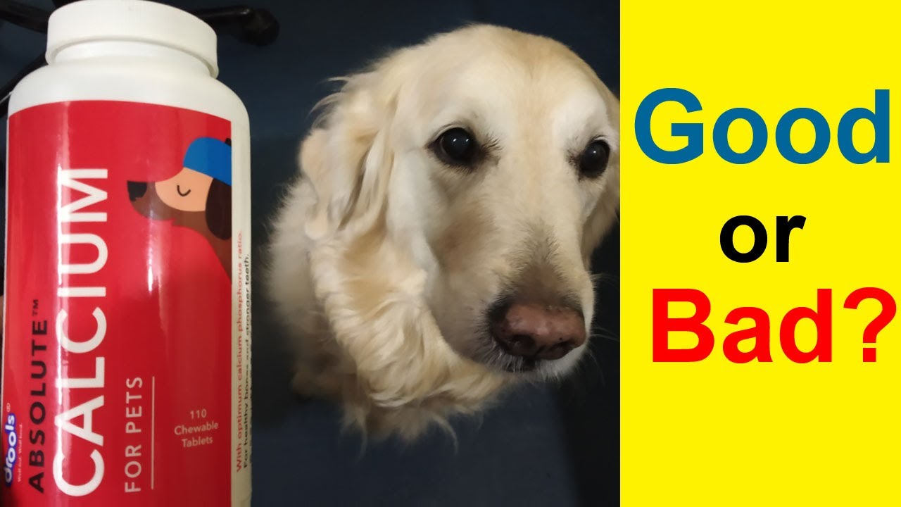Is Drools Calcium Tablets really good for Dog? YouTube