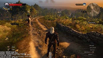 Witcher 3 Streaming from AWS EC2