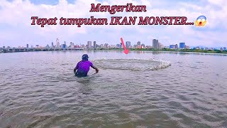 AMAZING...‼️JALA IKAN DI MUARA CUKUP DUA KALI TEBARAN PANEN BABON IKAN BELANAK /NETS FISHING