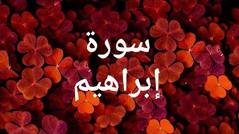 سورة إبراهيم - تلاوة أبو بكر الشاطري