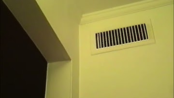 THE VENTS