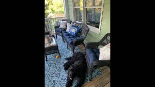 Blazing Needles Twill Settee Group Cushions, Navy, Set of 3