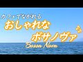 【ボサノヴァ音楽】朝は気分をリフレッシュ、カフェで流れるような、おしゃれな音楽［作業用bgm］