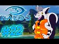 HalOwO 3 (Solo Legendary) - FURRY PLAYS - Part 22
