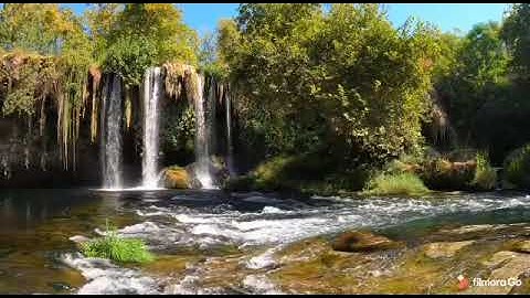 تلاوة هادئة تريح النفس للمقرئ أحمد الشلبي / سورة يس