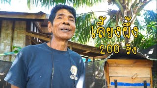 เลี้ยงผึ้ง200รัง เกษตรของคุณ ep. 32