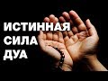 Аллах ответил на мольбу! Уникальные истории силы ду'а