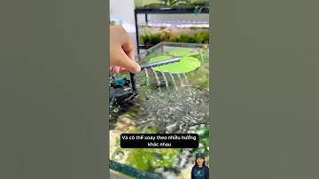 Làm sạch bể mặt nước bể cá với bộ lọc nhỏ gọn | Surface skimmer for fish tank #aquarium #shorts