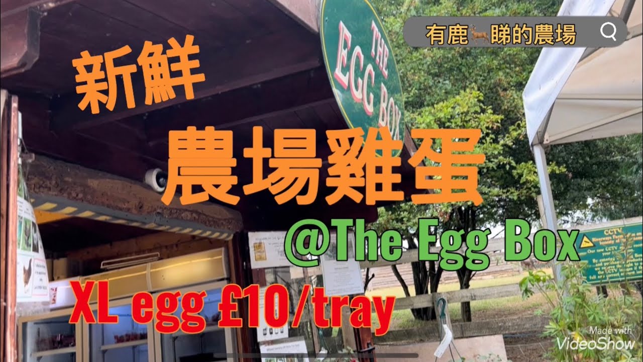 [雷丁親子好去處]Riverway Farm - The egg Box @RG10 英國農場雞蛋 - YouTube