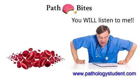 How long do blood cells live? (2023)