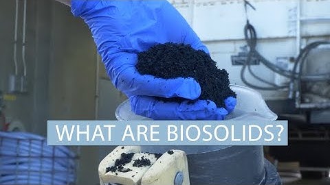 The Value of Biosolids
