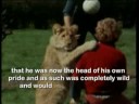 Christian The Lion - the full story in HQ with Sig...