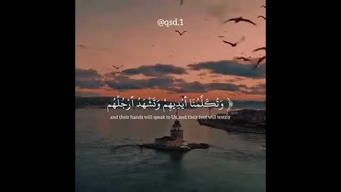اليوم نختم على افواههم وتكلمنا ايديهم وتشهد أرجلهم بما كانو يكسبون | سوره يس | القارئ يوسف الصقير