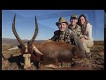 African Dreams Part 3 | Free Range Springbok &amp; Blesbok Hunting | Crusader Safaris