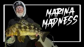 Marina Madness | 4 Hour Marina Del Rey Session | Spotted Bay Bass and Calico Bass