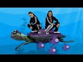 Capture de la vidéo Little Big & Little Sis Nora - Hardstyle Fish (Official Video)