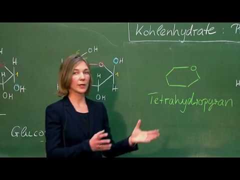 Kohlenhydrate - Projektionen: ChemieKolleg Grundlagen Organische Chemie Dr. Hilgers, Uni Regensburg