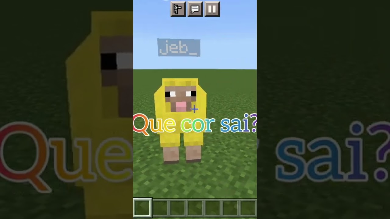 Quantas Cores Tem Uma Ovelha?