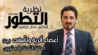 سلسلة نظرية التطور l الدكتور عدنان ابراهيم l الحلقة 28