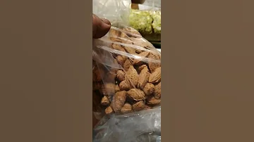 فوستا حلبي 