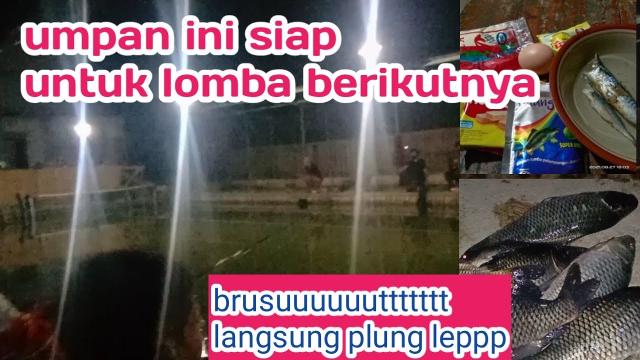 langsung tes lomba racikan umpan ikan mas jagung pelangi super amis