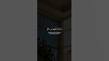 ﴿ ولَو يُؤَاخِذُ الله النَّاس بِظُلمهِم ﴾ سوره النحل، عبدالرحمن مسعد#ارح قلبك #ارح سمعك #قران كريم