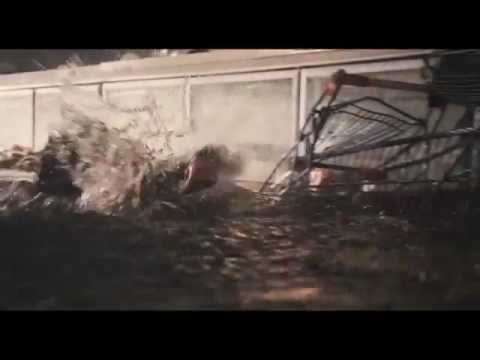 Shark 3D - Trailer ufficiale italiano - Scegliliflm.it