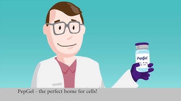 PepGel | The perfect home for cells