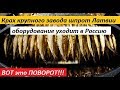 Крах крупного завода шпрот Латвии: оборудование уходит к конкурентам из России - НОВОСТИ