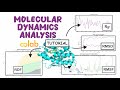 Molecular Dynamics Analysis: A Complete Tutorial Using Google Colab!
