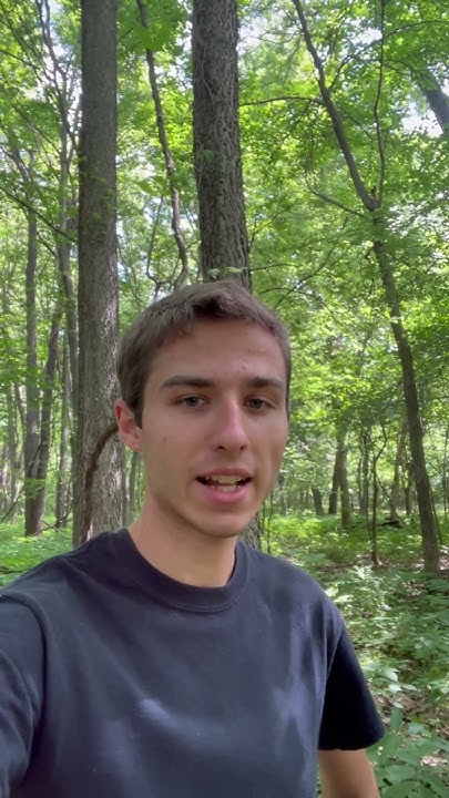 How To Say hello How Are You In German YouTube how-to-say-hello-how-are-you-in-german-youtube