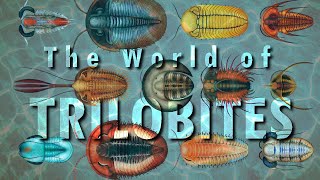 World of TRILOBITES