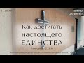 17.07.2022. Виктор Шкурченко &quot;Как достигать настоящего единства&quot;