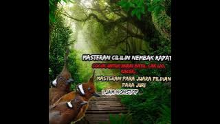 Download lagu MASTERAN CILILIN NEMBAK RAPAT#GONDRONG JAYA CHANNEL