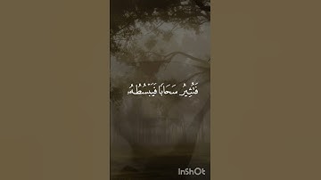 اللَّهُ الَّذِي يُرْسِلُ الرِّيَاحَ فَتُثِيرُ سَحَابًا فَيَبْسُطُهُ|المنشاوي|سورة الروم